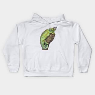 JACKSON'S CHAMELEON Kids Hoodie